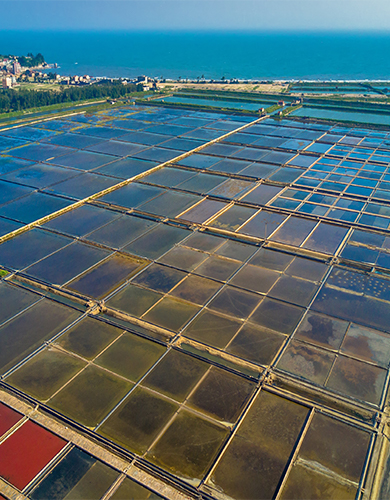 50余售后技術(shù)服務人員